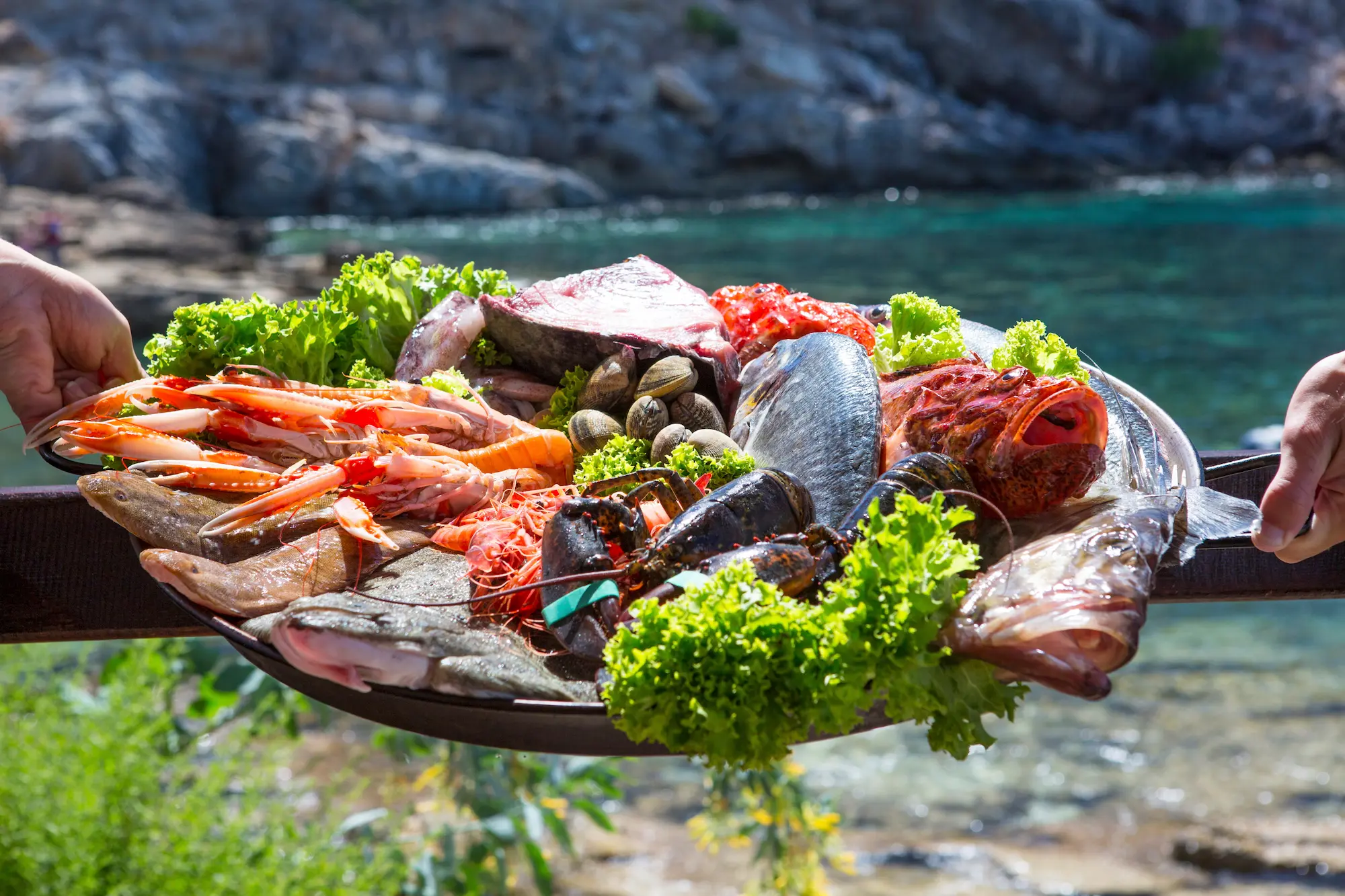 Serving fresh fish, seafood